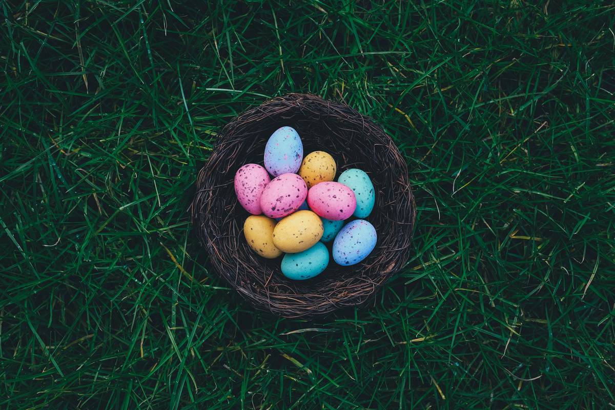 minimalist party supply easter decoration home good display using natural branches and linen